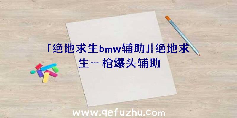 「绝地求生bmw辅助」|绝地求生一枪爆头辅助